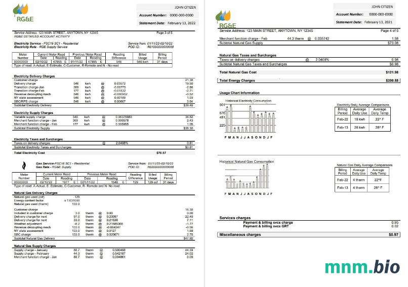 USA RG & e rachunek za media szablon w formacie Word i PDF (2 Strony) 3 4